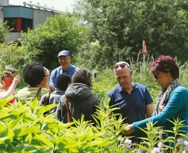 Stap binnen in de mooiste tuinen tijdens Open Tuinenweekend op 20 en 21 juni