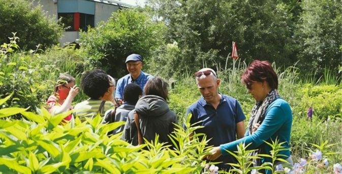 Stap binnen in de mooiste tuinen op 20 en 21 juni tijdens Opentuinenweekend