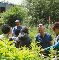 Stap binnen in de mooiste tuinen op 20 en 21 juni tijdens Opentuinenweekend