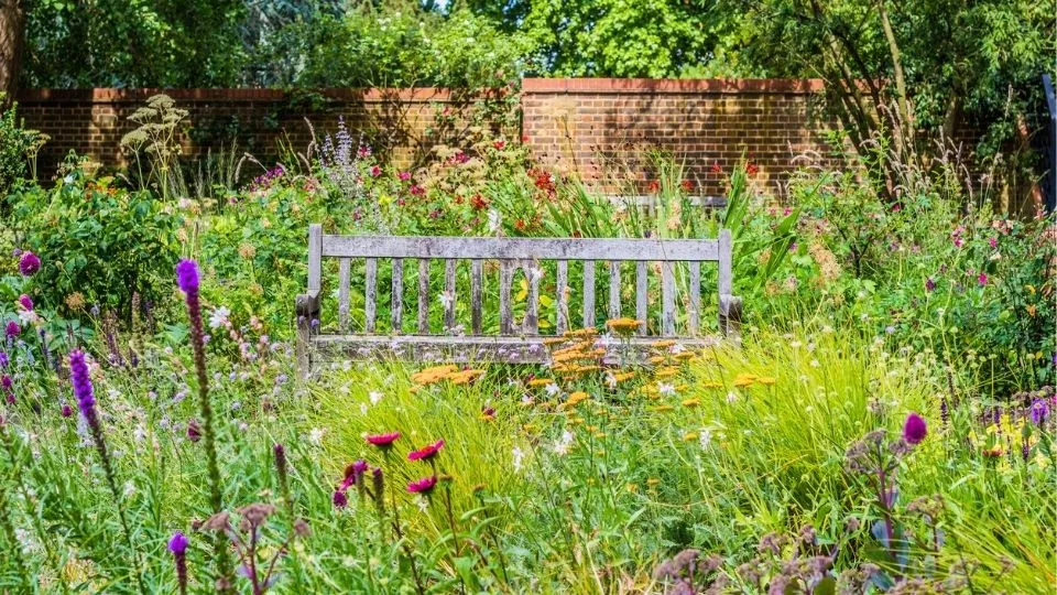 Afbeelding Ruim eens wat minder op: daar knapt je tuin van op