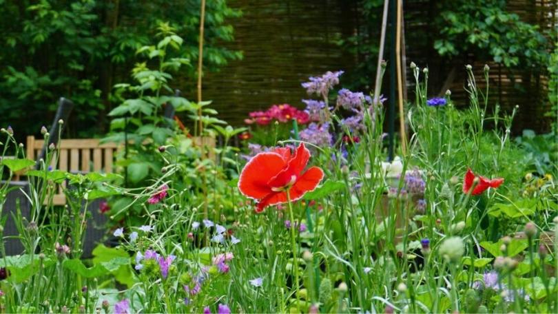 Tuinklussen in april: 17 dingen die je nu kunt doen in de tuin