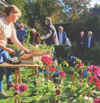 Plantenruil: in april is er altijd wel eentje in jouw buurt