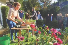 Plantenruil: in april is er altijd wel eentje in jouw buurt