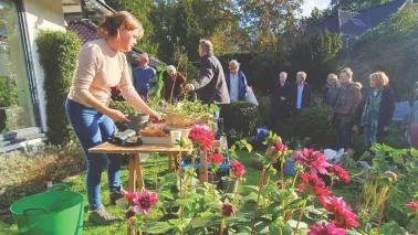 Plantenruil: in april is er altijd wel eentje in jouw buurt