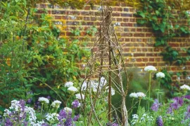 Planten steunen? Bewaar je snoeihout voor gratis steun