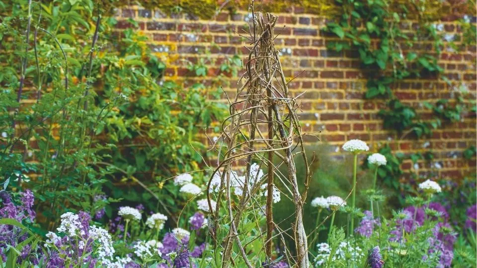Afbeelding Planten steunen? Bewaar je snoeihout voor gratis steun