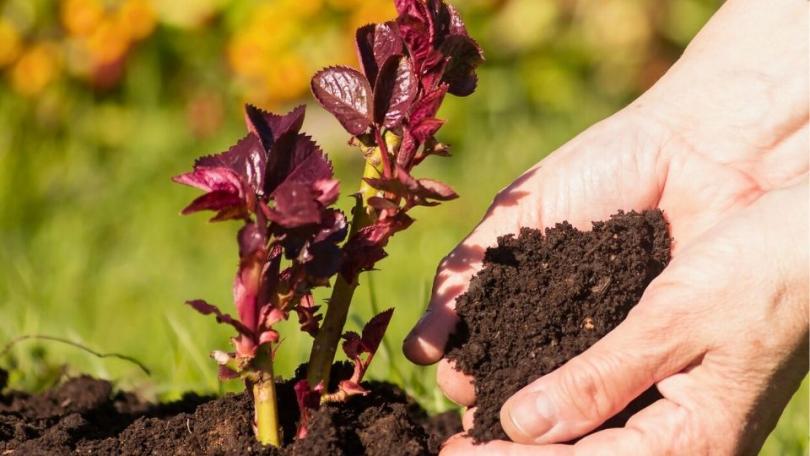 Tuinklussen in april: 17 dingen die je nu kunt doen in de tuin