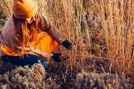Siergras knippen: haal het jonge spul niet weg (video)