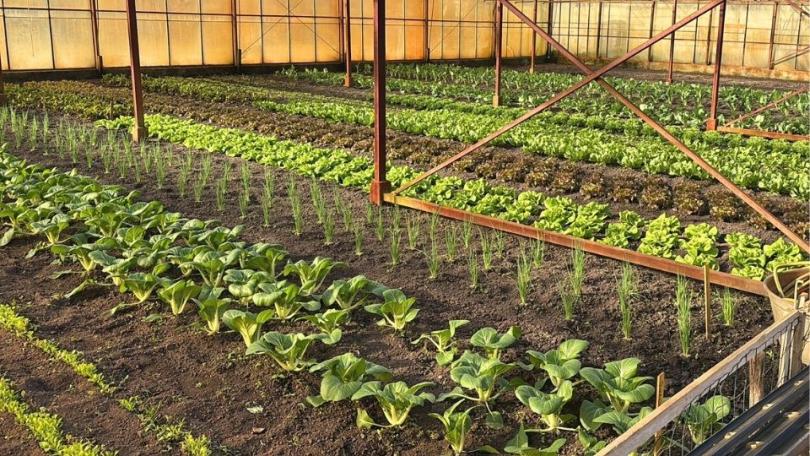 6 bijzondere moestuinen om te bezoeken in Nederland en Vlaanderen