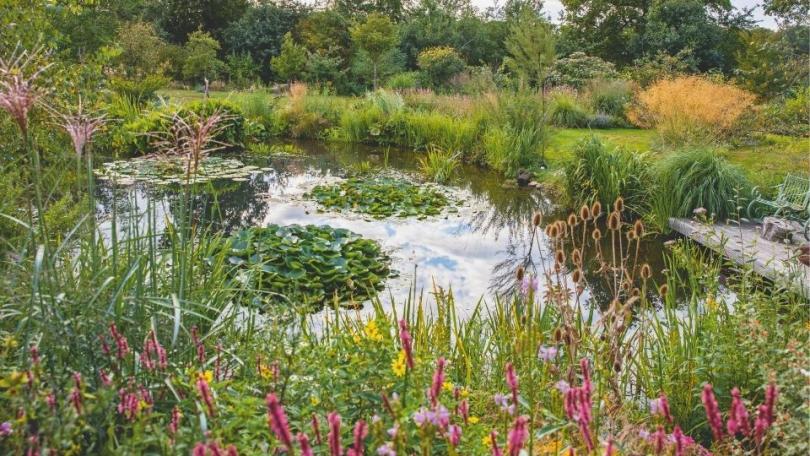 Je tuin openstellen? 12 tips voor een geslaagde opentuindag