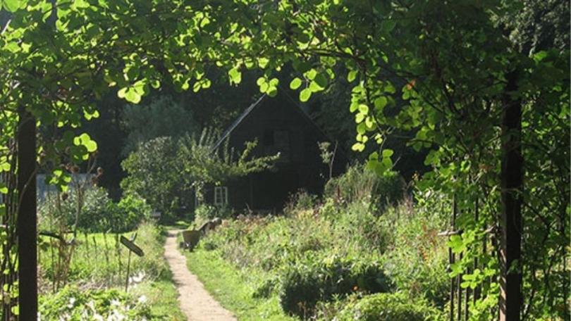 6 bijzondere moestuinen om te bezoeken in Nederland en Vlaanderen