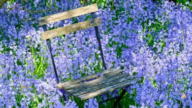 Tuinklussen in april: 19 dingen die je nu kunt doen in de tuin