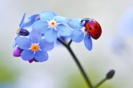 Maak jij de perfecte foto voor de G&B tuinplanner?