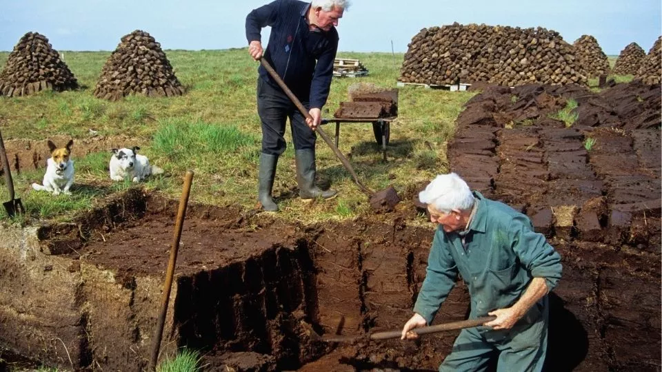 Afbeelding Gebruik liever geen turf: er zijn alternatieven