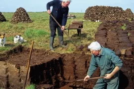Gebruik liever geen turf: er zijn alternatieven