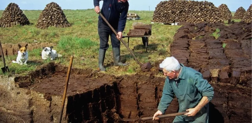 Gebruik liever geen turf: er zijn alternatieven