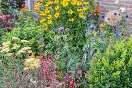 Varieer met duurzaam gekweekte planten en bomen