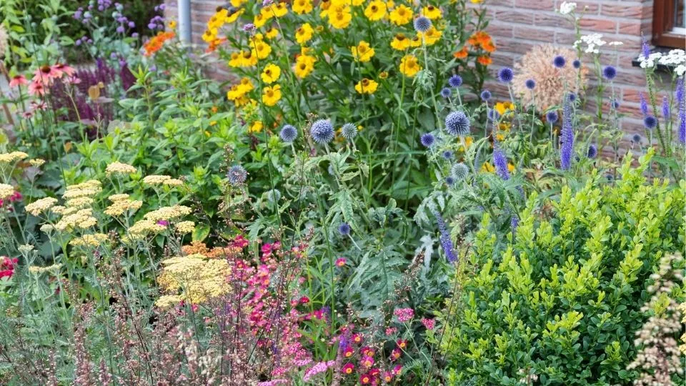 Afbeelding Varieer met duurzaam gekweekte planten en bomen