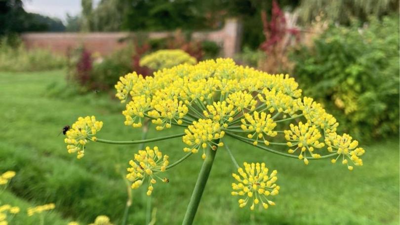 Tuinklussen in mei: 21 x aan de slag in je tuin
