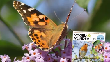 Special Vogel- en vlindertuin: 156 pagina’s vol tips voor een levende tuin