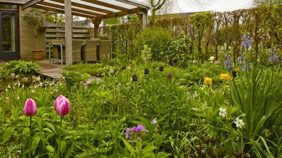 Afbeelding Voorjaarstuin vol bloembollen: een kleine tuin met groot effect