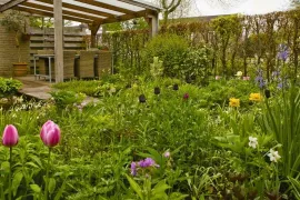 Voorjaarstuin vol bloembollen: een kleine tuin met groot effect
