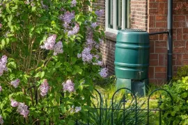 Slim omgaan met water in je tuin: tips voor droge en natte periodes
