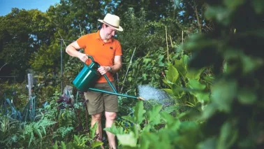Elke druppel telt: zo ga je slim om met water in de moestuin