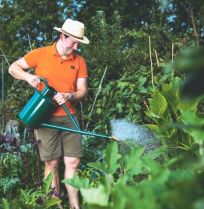Elke druppel telt: zo ga je slim om met water in de moestuin