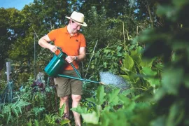 Elke druppel telt: zo ga je slim om met water in de moestuin