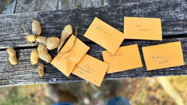 Zaadzakjes maken: 9 gratis ontwerpen om zelf te printen