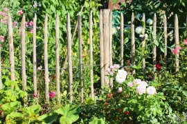 Zo maak je een natuurlijke tuin: 4 bloemen om nu te zaaien