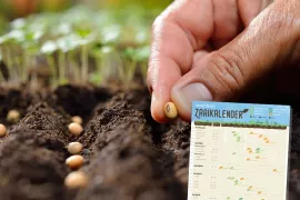 Download gratis zaaikalender voor je moestuin