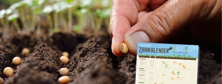 Download gratis zaaikalender voor je moestuin