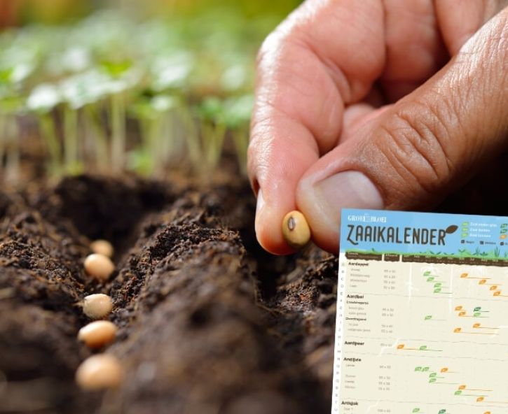 Download gratis zaaikalender voor je moestuin