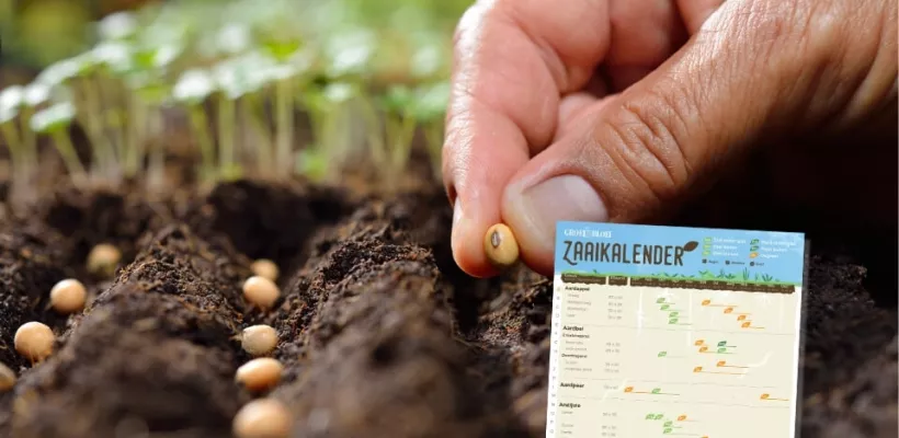 Download gratis zaaikalender voor je moestuin