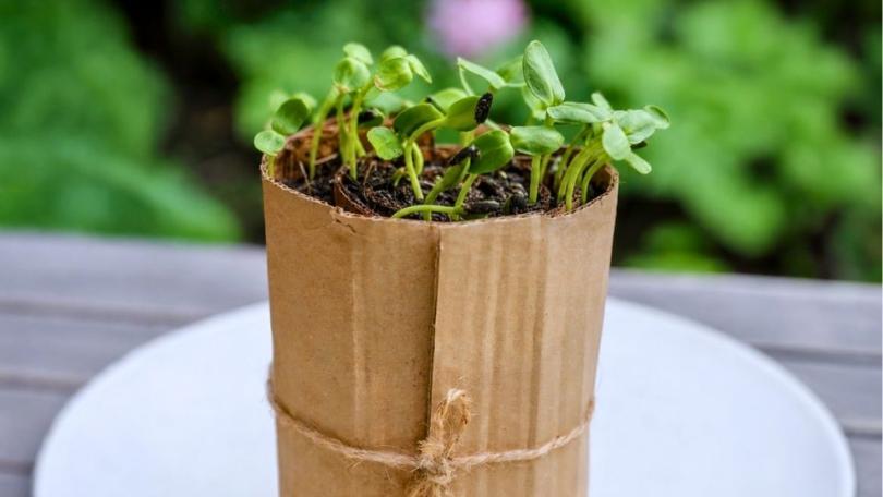 Tuinklussen in mei: 21 x aan de slag in je tuin