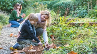 Je tuin winterklaar maken? Doe vooral wat minder