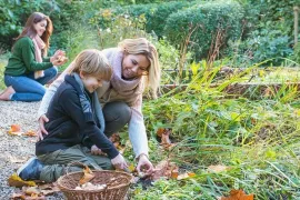 Je tuin winterklaar maken? Doe vooral wat minder