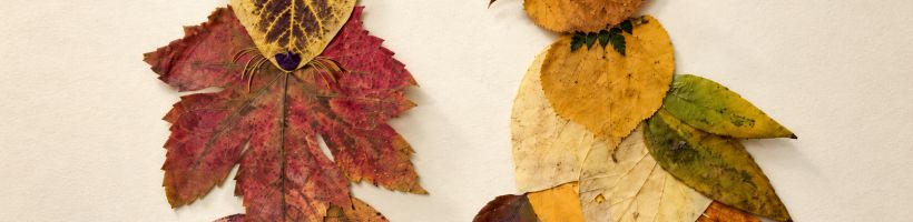 Herfst
