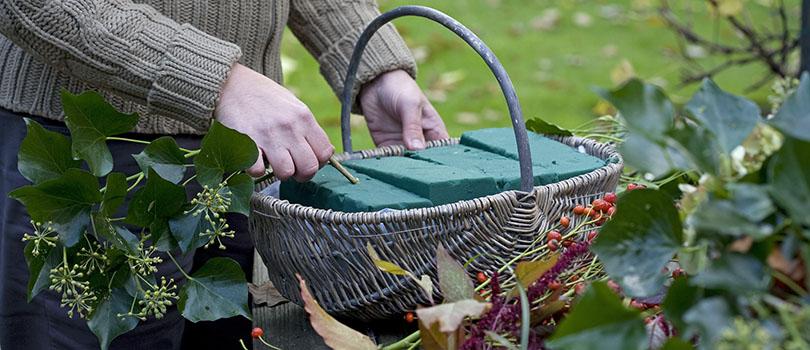Herfstmand uit eigen tuin