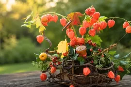 Een herfstmand waar ook de vogels blij van worden