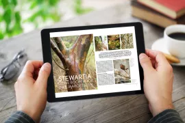 Gratis G&B lezen op je tablet