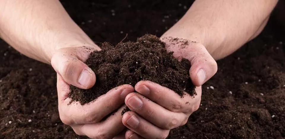 Afbeelding Doe eens een bodemtest