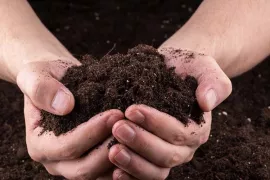 Doe eens een bodemtest