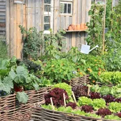 Gevlochten moestuintje