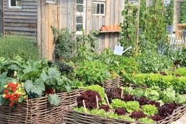 Gevlochten moestuintje