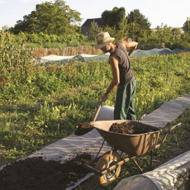 Zomer op kasteel Hex: droogteslim planten en een tweede teelt