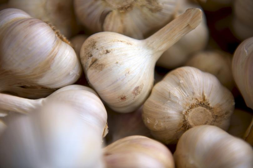 Hoe kweek je knoflook