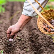 Tuinklussen oktober: 14 klussen voor de herfst
